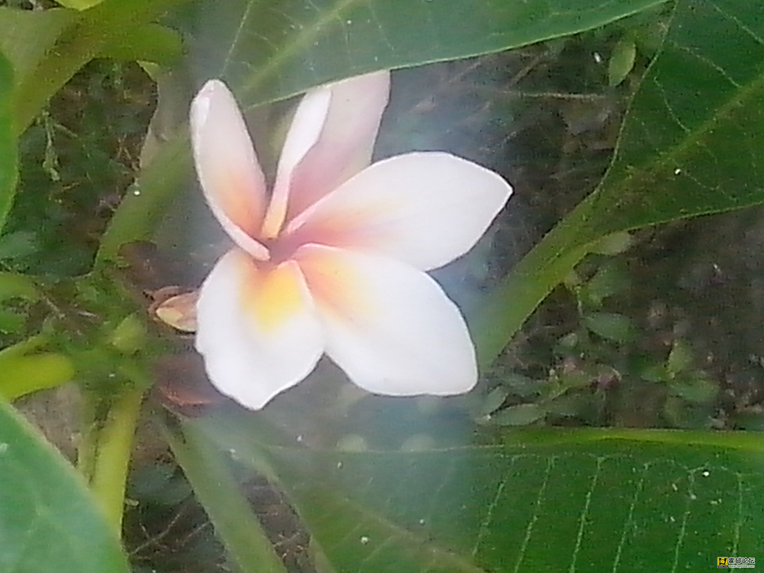 IMG_20121002_113610.jpg