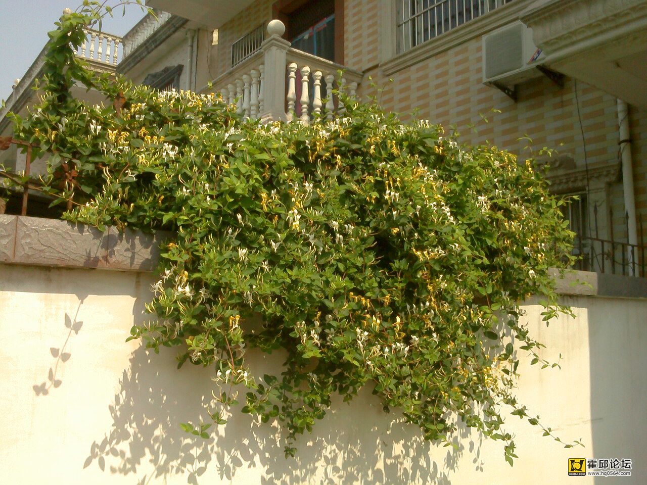 IMG0430093501.jpg