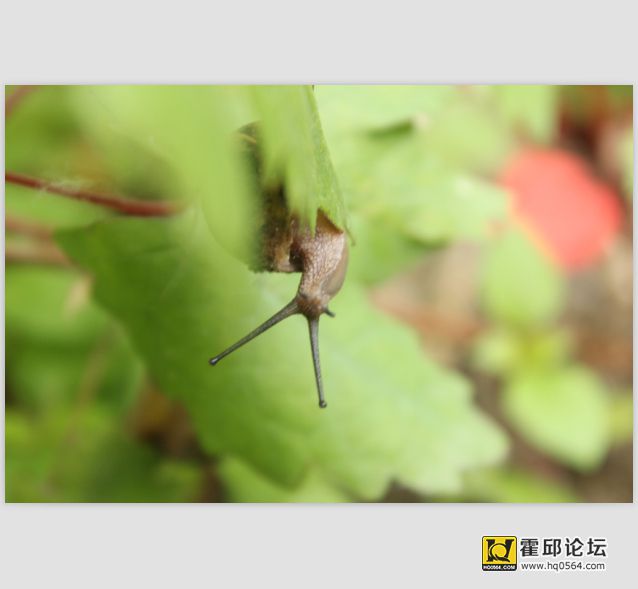 QQ��ͼ20140524095316.jpg