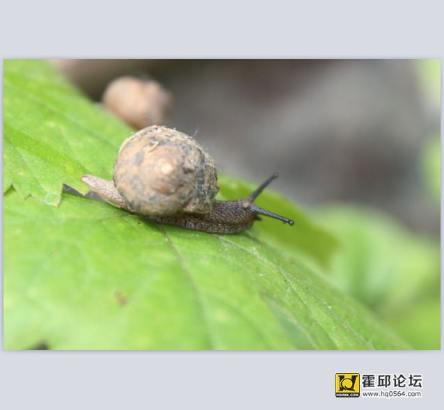QQ��ͼ20140524095346.jpg