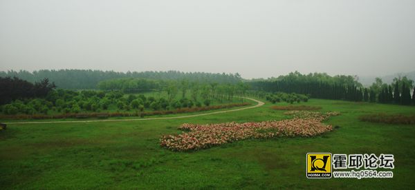 3728.jpg