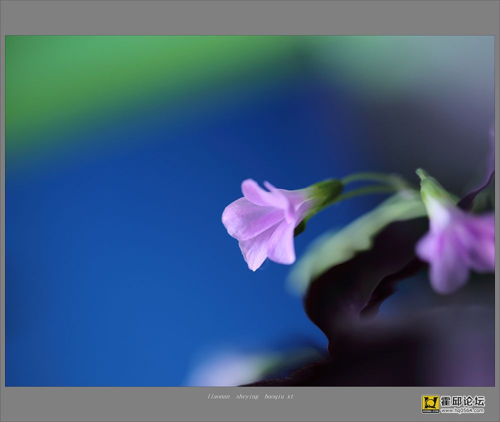 _G8A2409.jpg