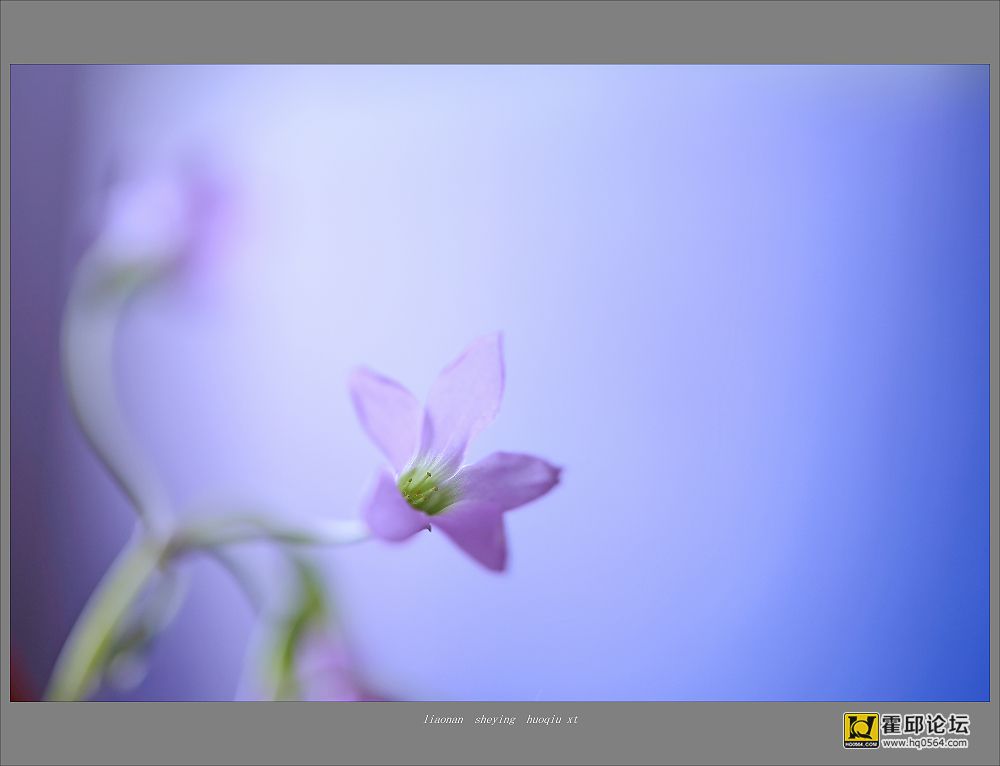 _G8A2435.jpg