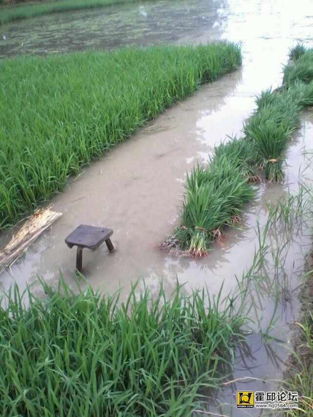 QQͼƬ20140528100628.jpg
