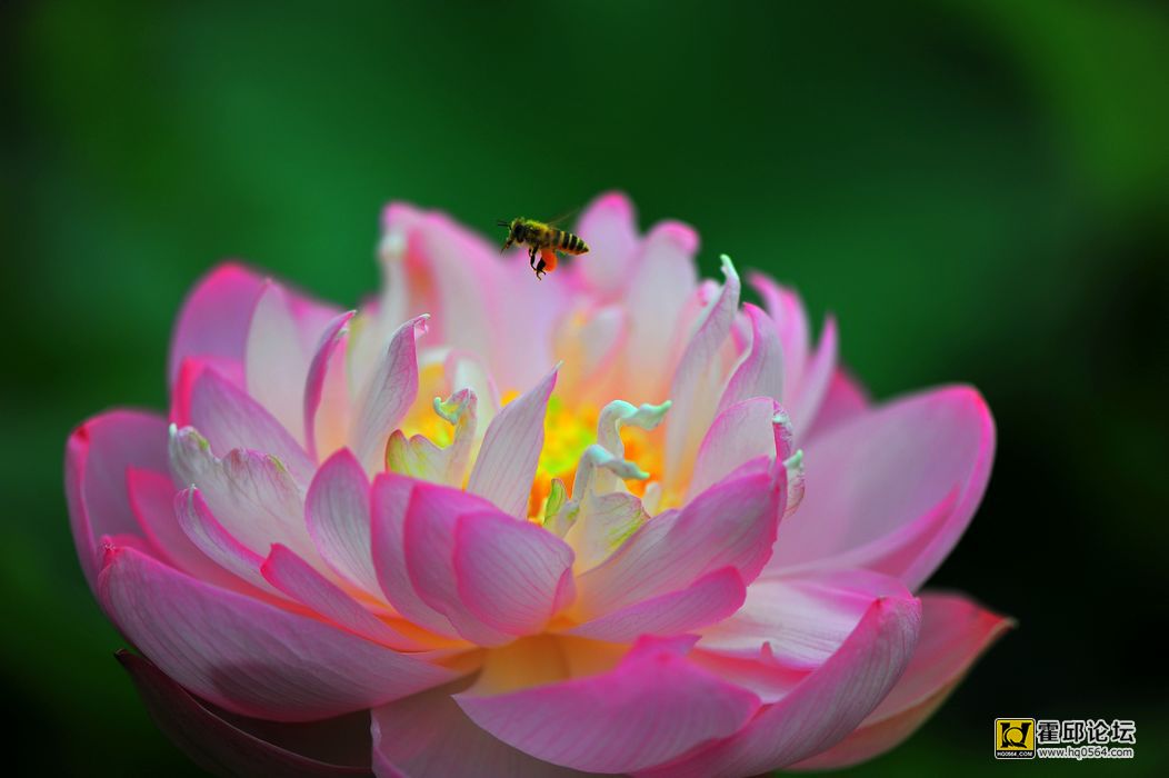 20130614 581.jpg