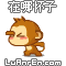 znhz.gif