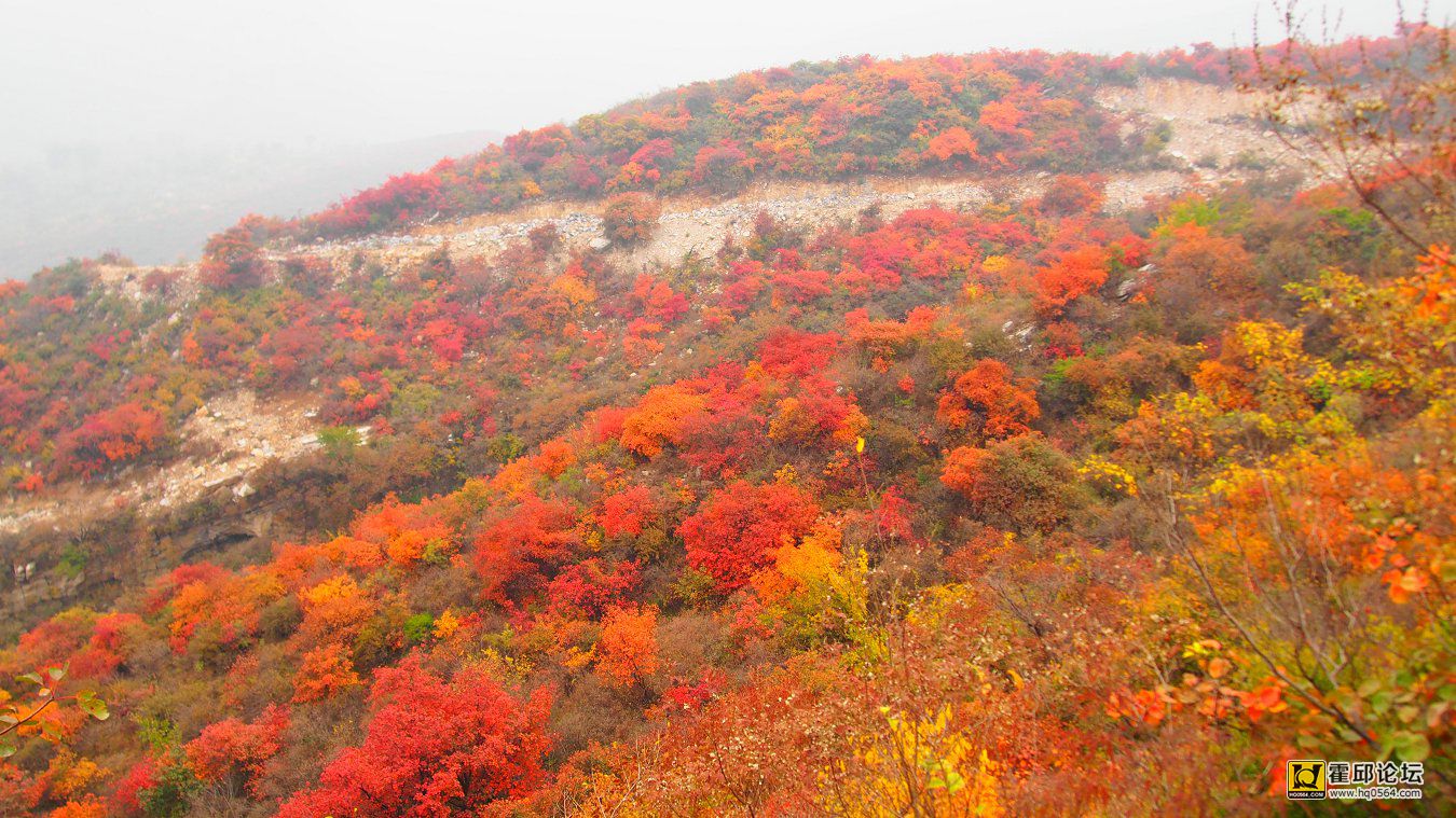 PA191247.JPG