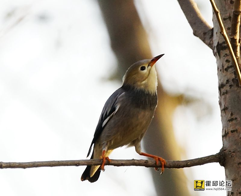 DSC06299.JPG