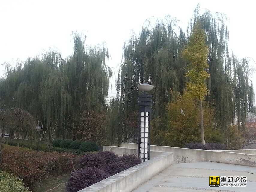 QQͼƬ20141118174419.jpg