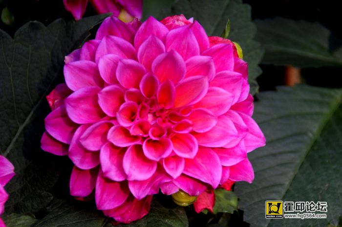 IMG_0048.jpg