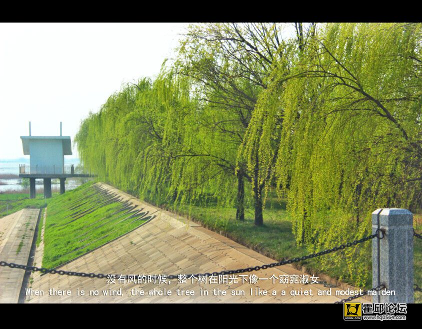 3_meitu_3.jpg