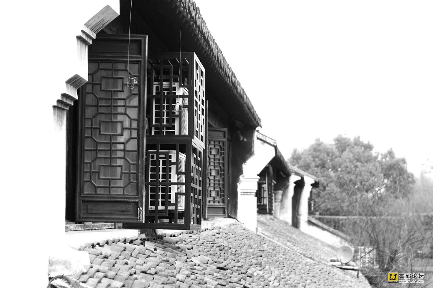 DPP1_0006.JPG