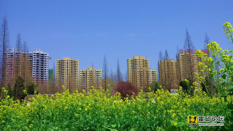 20150325_114516-1.jpg