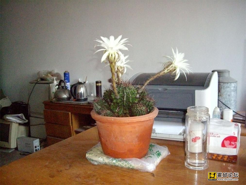 IMGP2610_��ͼ��.jpg