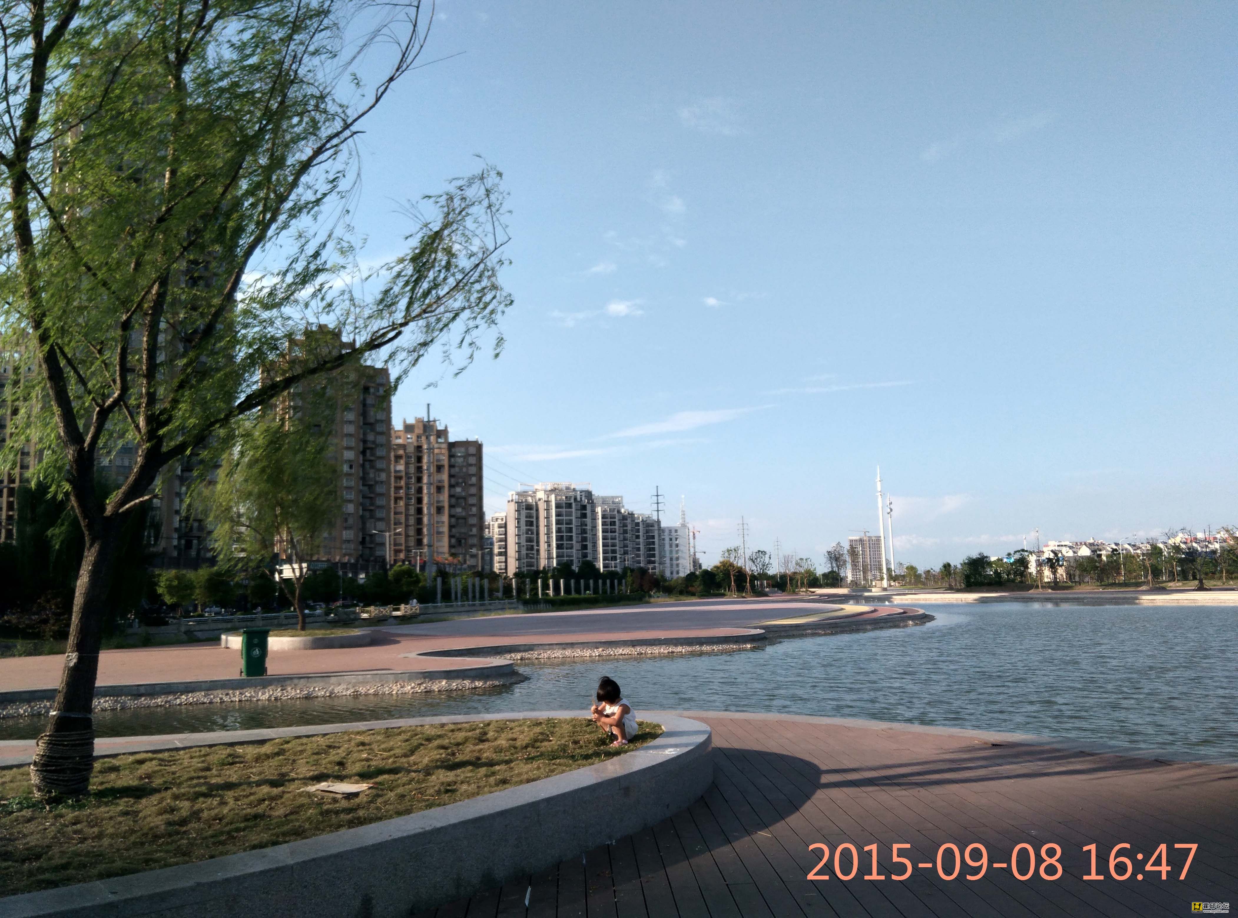 IMG_20150908456.jpg