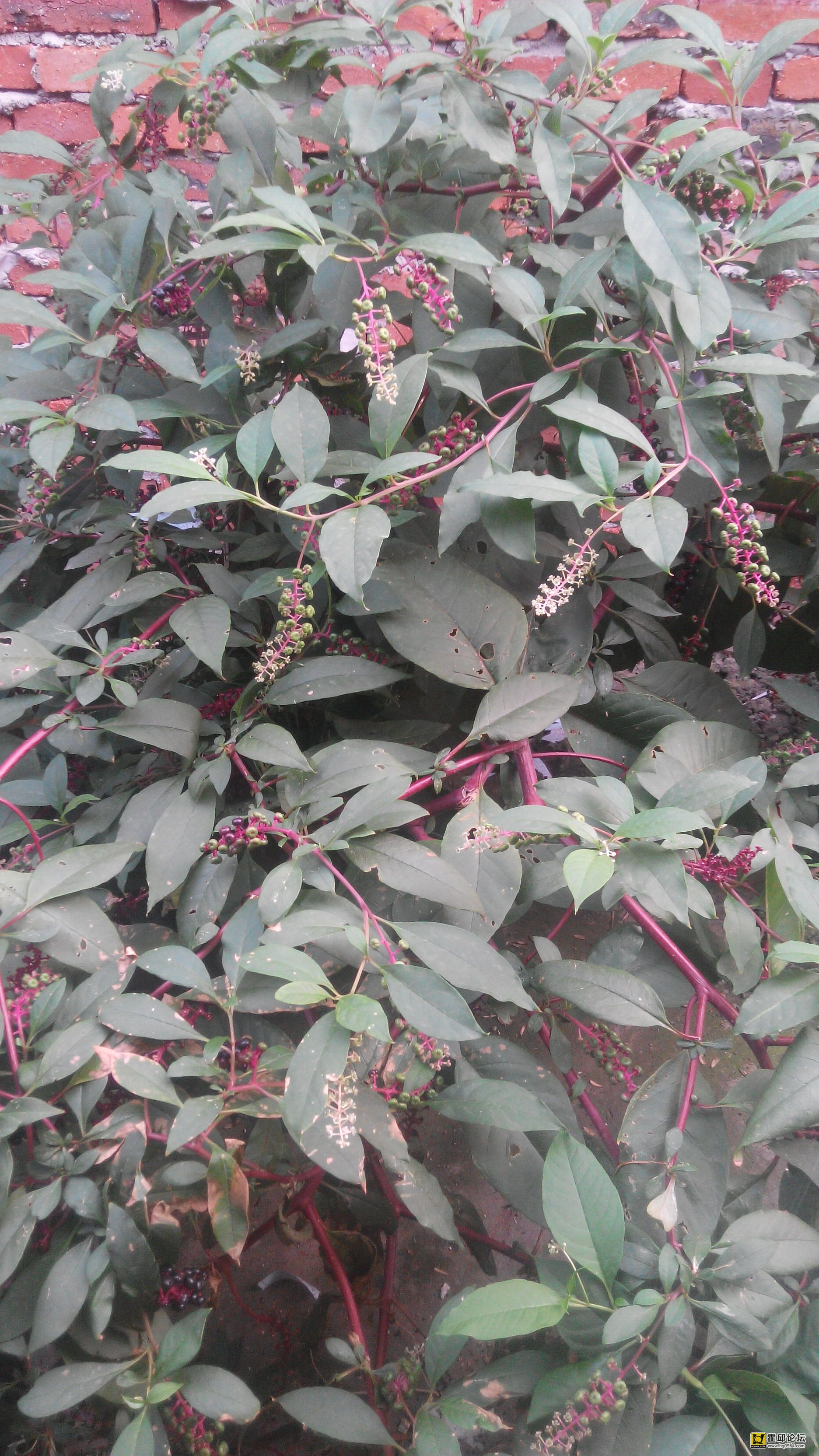 IMG_20150915_165933.jpg