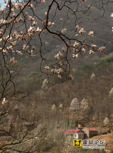 DSC_8328.JPG