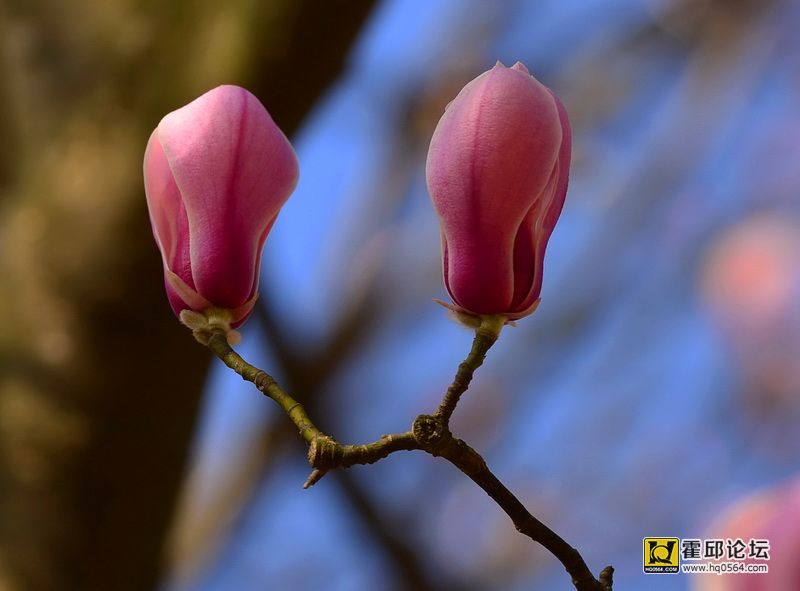 DSC_8112.JPG
