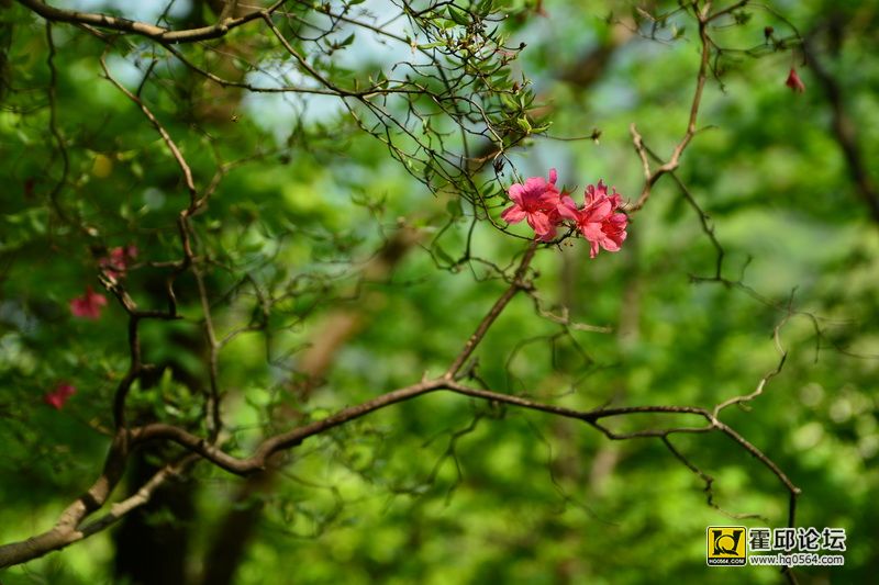 DSC_0107.JPG
