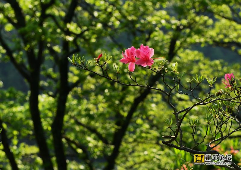 DSC_9922.JPG