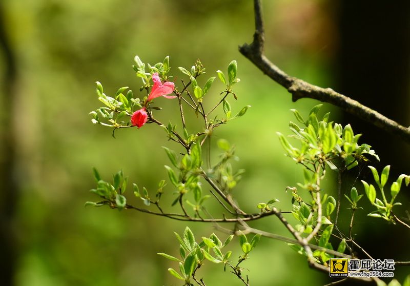 DSC_9934.JPG
