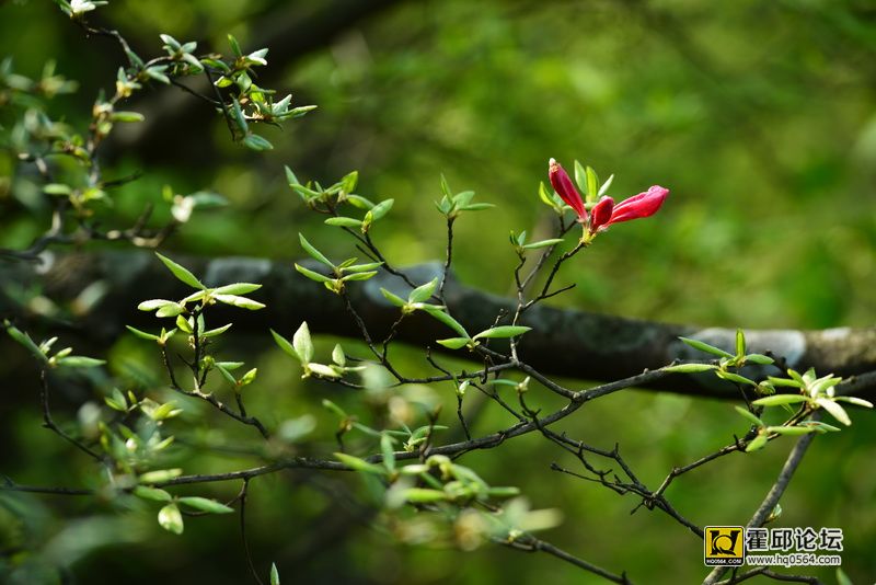 DSC_9975.JPG