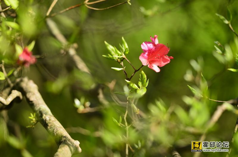 DSC_9954.JPG