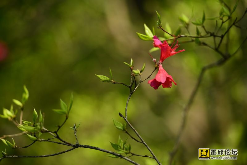 DSC_9959.JPG