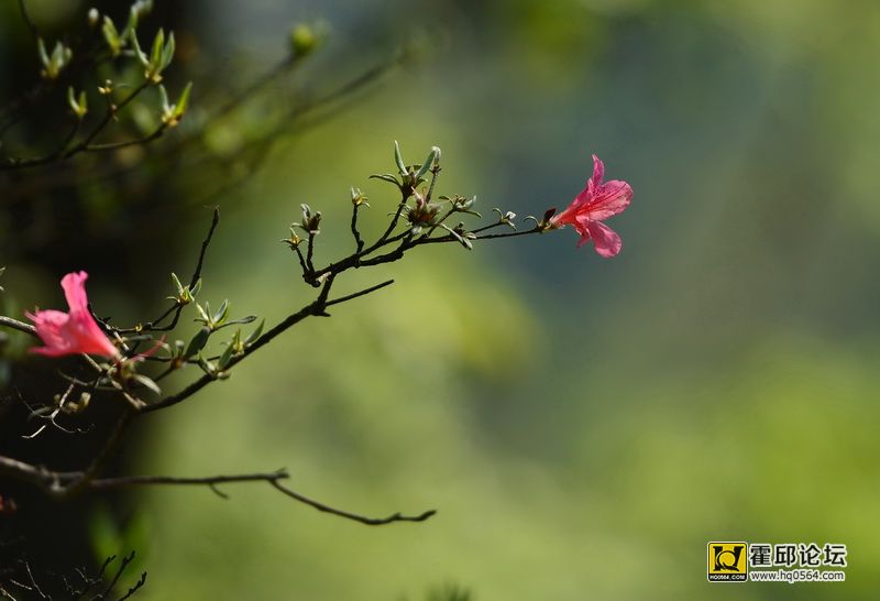 DSC_9967.JPG