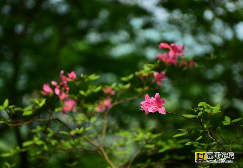 DSC_0109.JPG