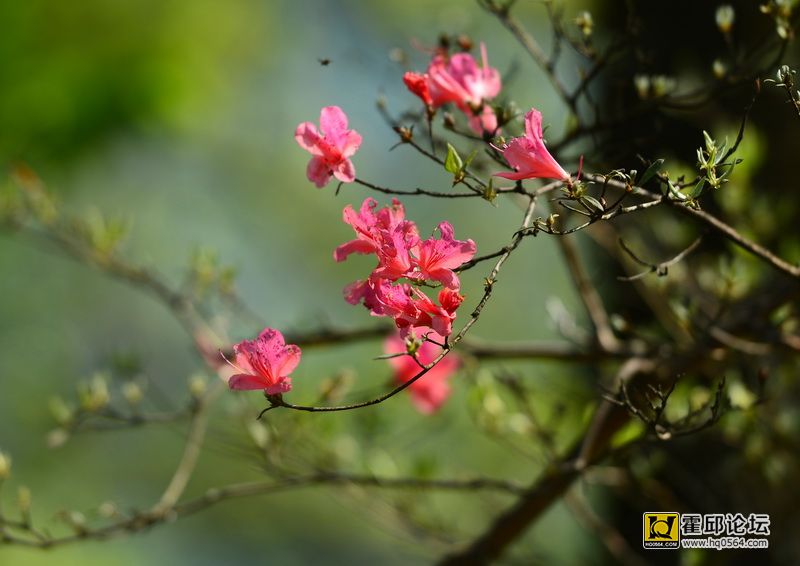 DSC_9969.JPG