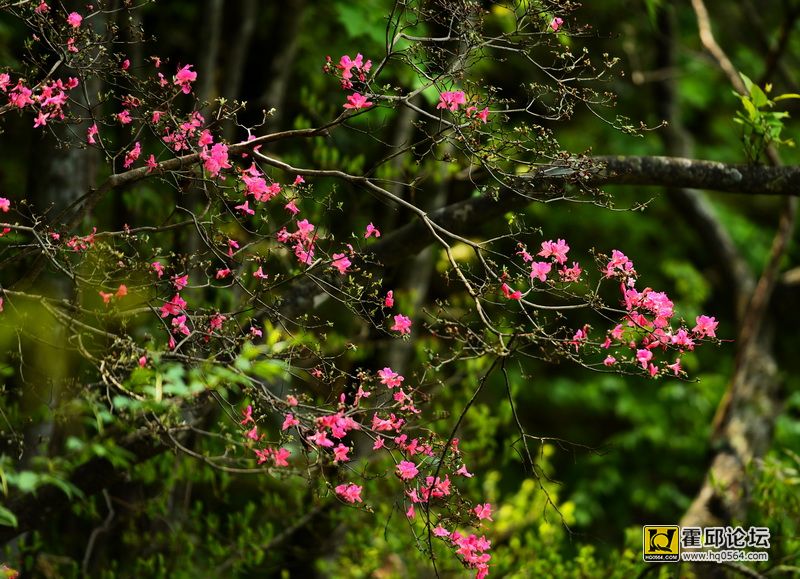 DSC_0080.JPG