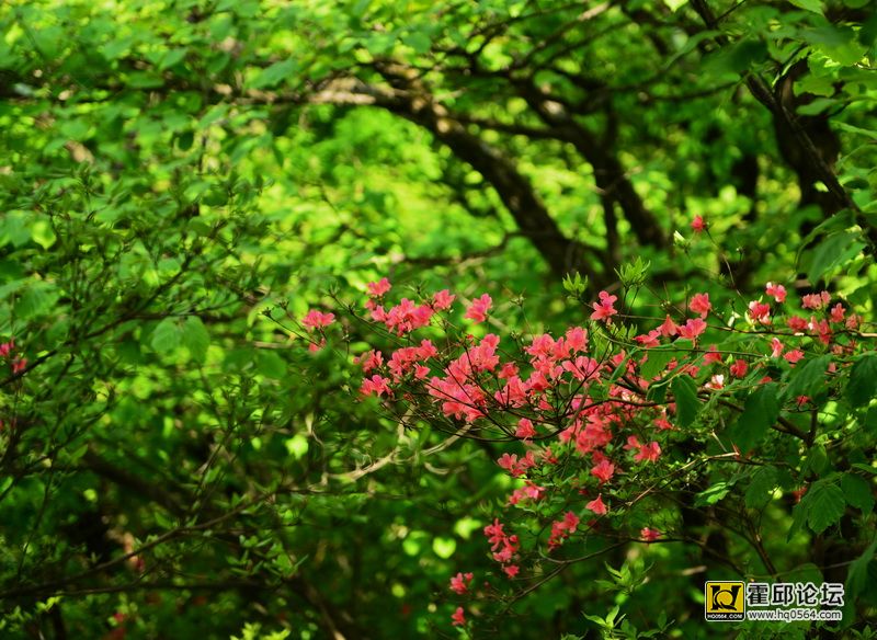 DSC_0147.JPG