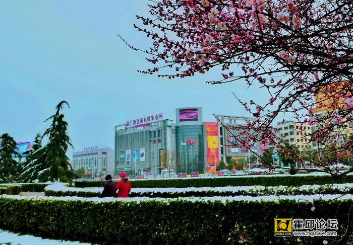 ���ƣ�ѩӳ��÷������   ����ص㣺�����س�ԭ����㳡  ��������  �ֻ���13905644891.jpg
