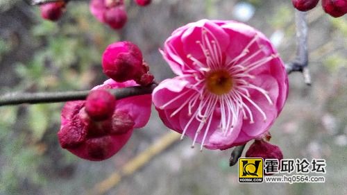 IMG_20170114_073059.jpg