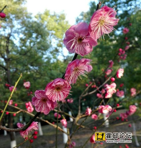 IMG_20170114_083710.jpg