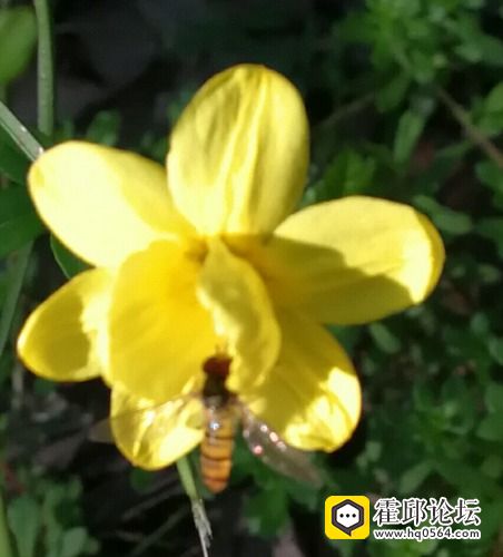 IMG_20170423_113447.jpg