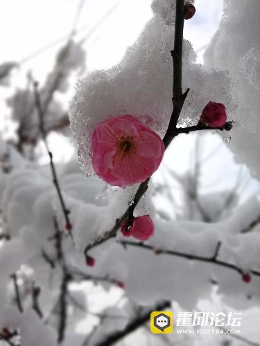 IMG_20180106_102438.jpg
