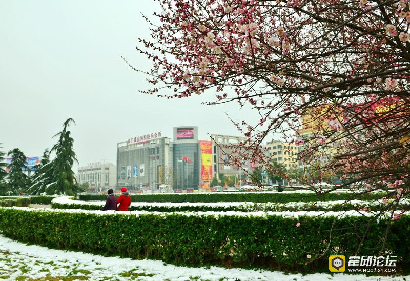 ѩӳ��÷������  ���������ڻ����س� �ֻ���13905644891    ͨ�ŵ�ַ������ʡ��������.jpg
