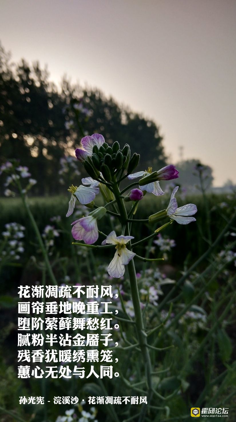 1524004720070.JPEG