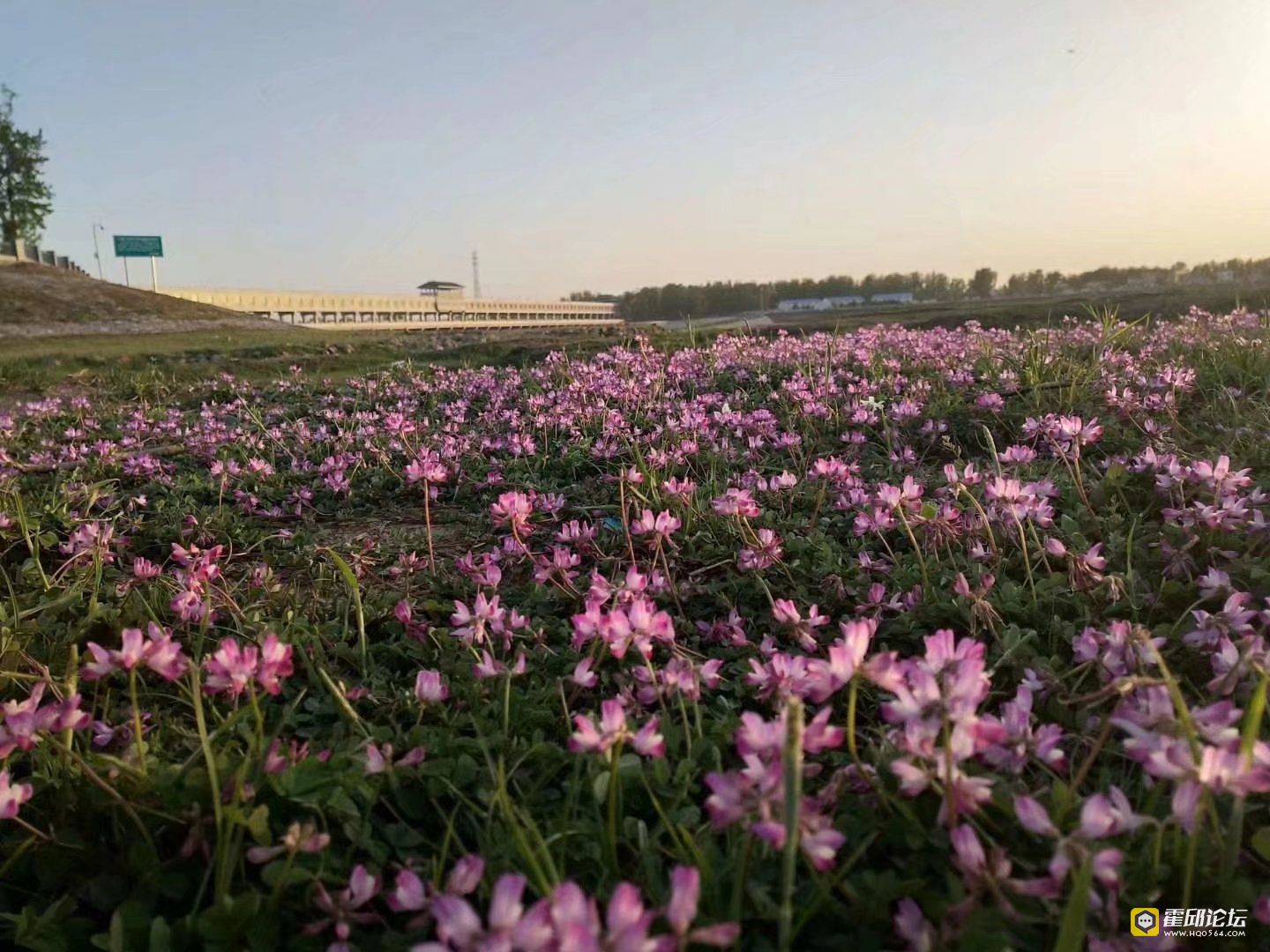 04.jpg