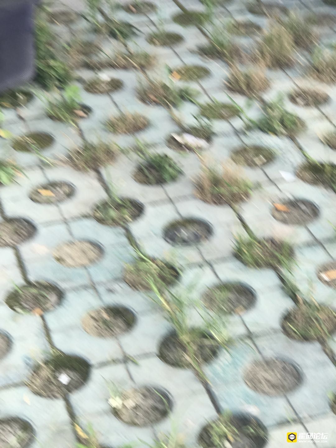 1531751341306835_39.jpg