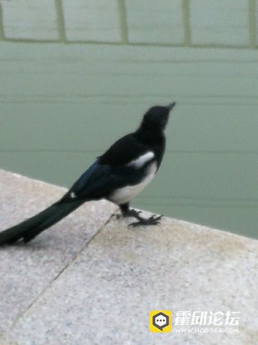IMG_20181005_065527.jpg