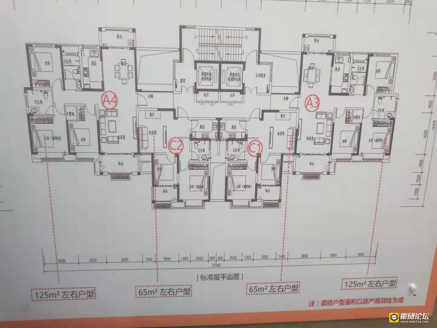 老县委片区拆迁安置房户型图