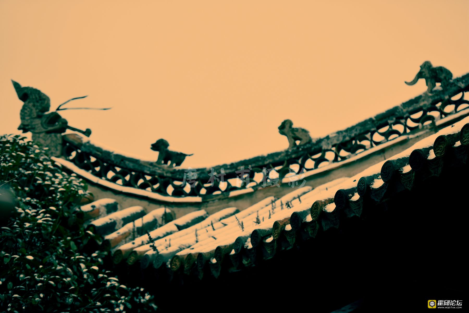 f15a8218dd446e9ecd2f60f39b04b73.jpg