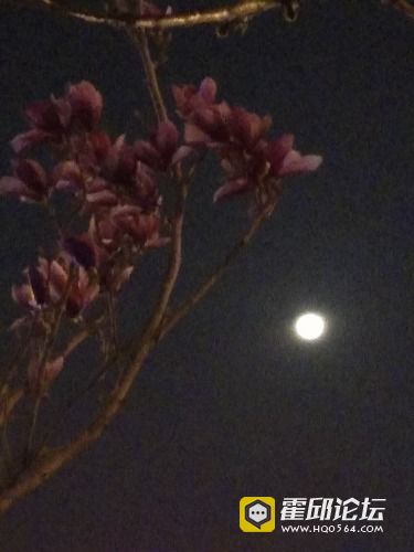 IMG_20190320_191211.jpg
