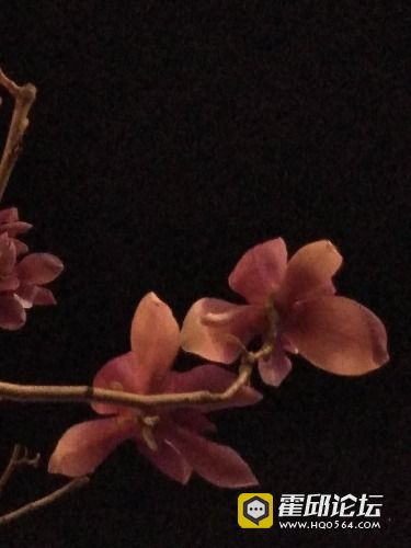 IMG_20190320_191315.jpg