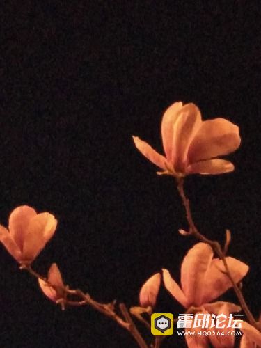IMG_20190320_190543.jpg