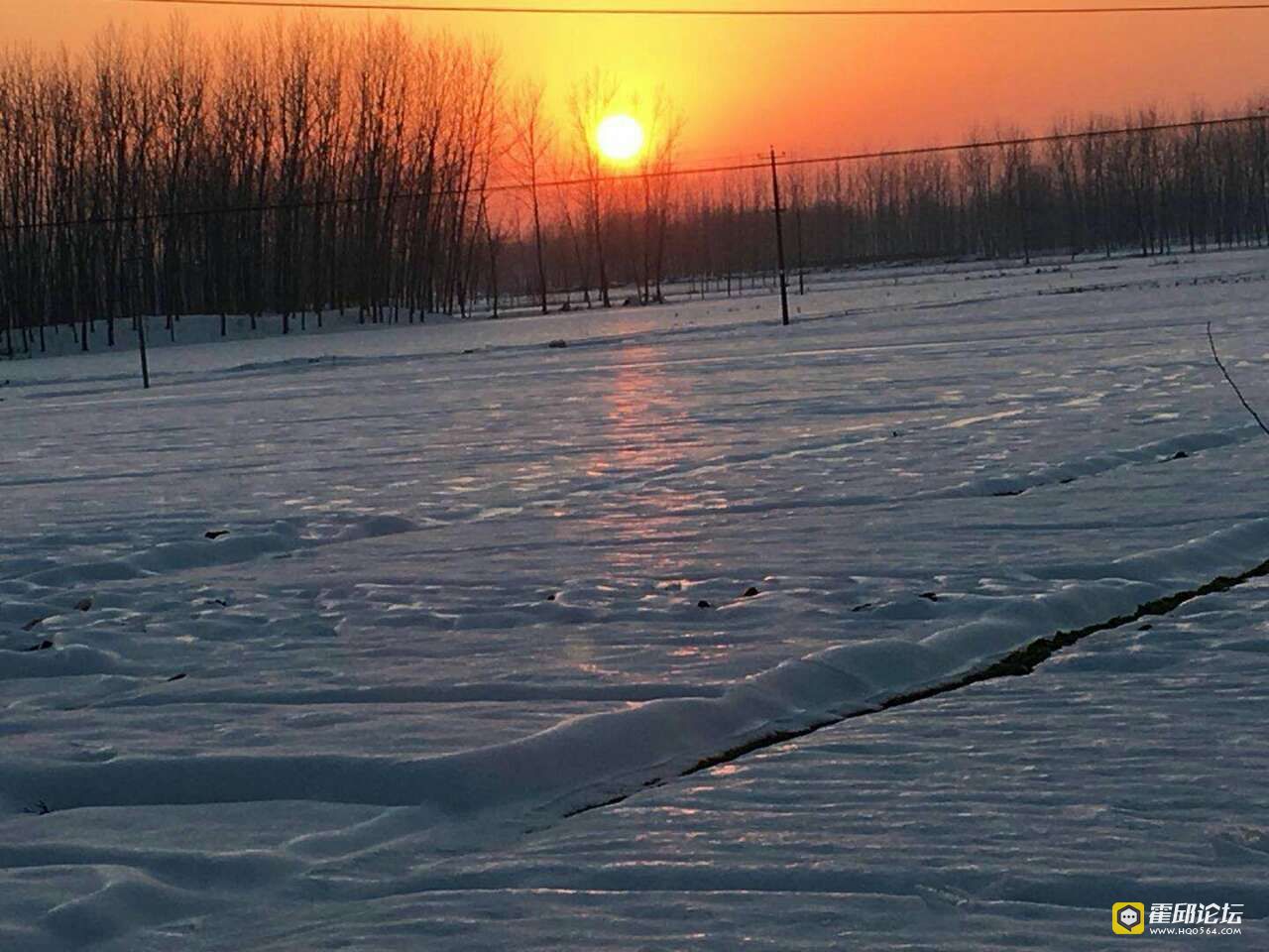 20190422_193478_1555889585435.jpg