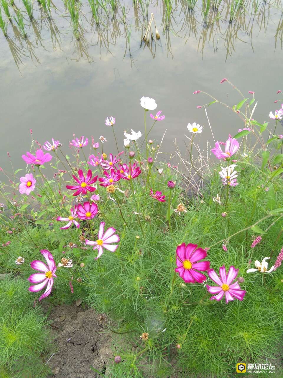 20190613_193478_1560417612303.jpg